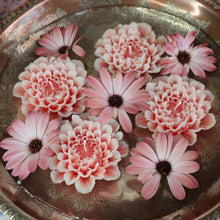 Load image into Gallery viewer, Flower Candle Gift Box Natural - Blue & Dark Blue