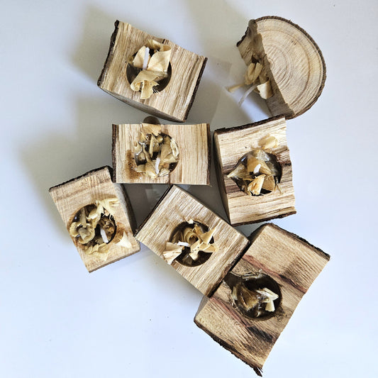 Evolve Log & Load Natural Fire Starters - 15 Pack