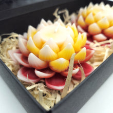 Load image into Gallery viewer, Lotus Large Candle - 2 Pack - Various Colours