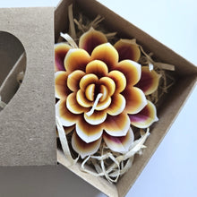 Load image into Gallery viewer, Lotus Medium Candle - Fragranced - Various Colours