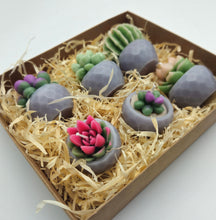 Load image into Gallery viewer, Evolve 6 Mini Succulent Candles - Grey Pots - Lemon Grass