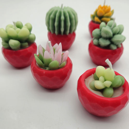 Evolve 6 Mini Succulent Candles - Red Pots - Lemon Grass