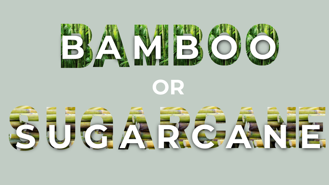 Bamboo vs sugarcane products: What’s the difference – and which one is right for you?