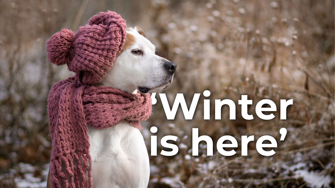 Don’t sleep on these 5 products this winter