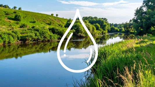 World Water Day – The small switch you didn’t know you were ignoring