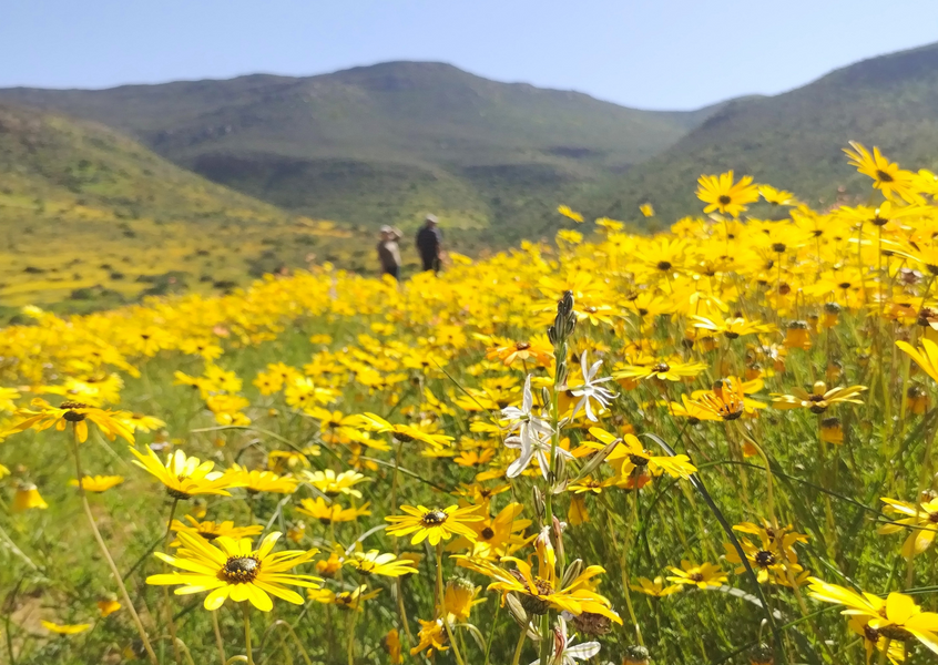 Spring into Eco: 7 Days of easy eco-challenges