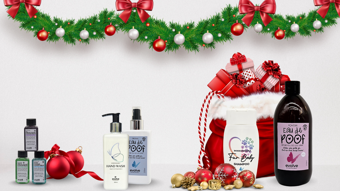 Your personality-based green gift guide for Christmas