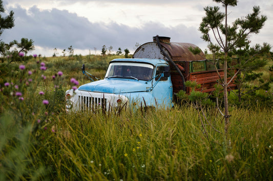 9 Eco wins of 2025: Is our home healing?