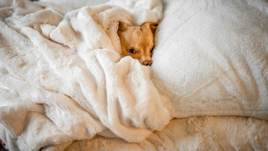 No struggle, all snuggle: 5 easy cleaning you can do while in your gown