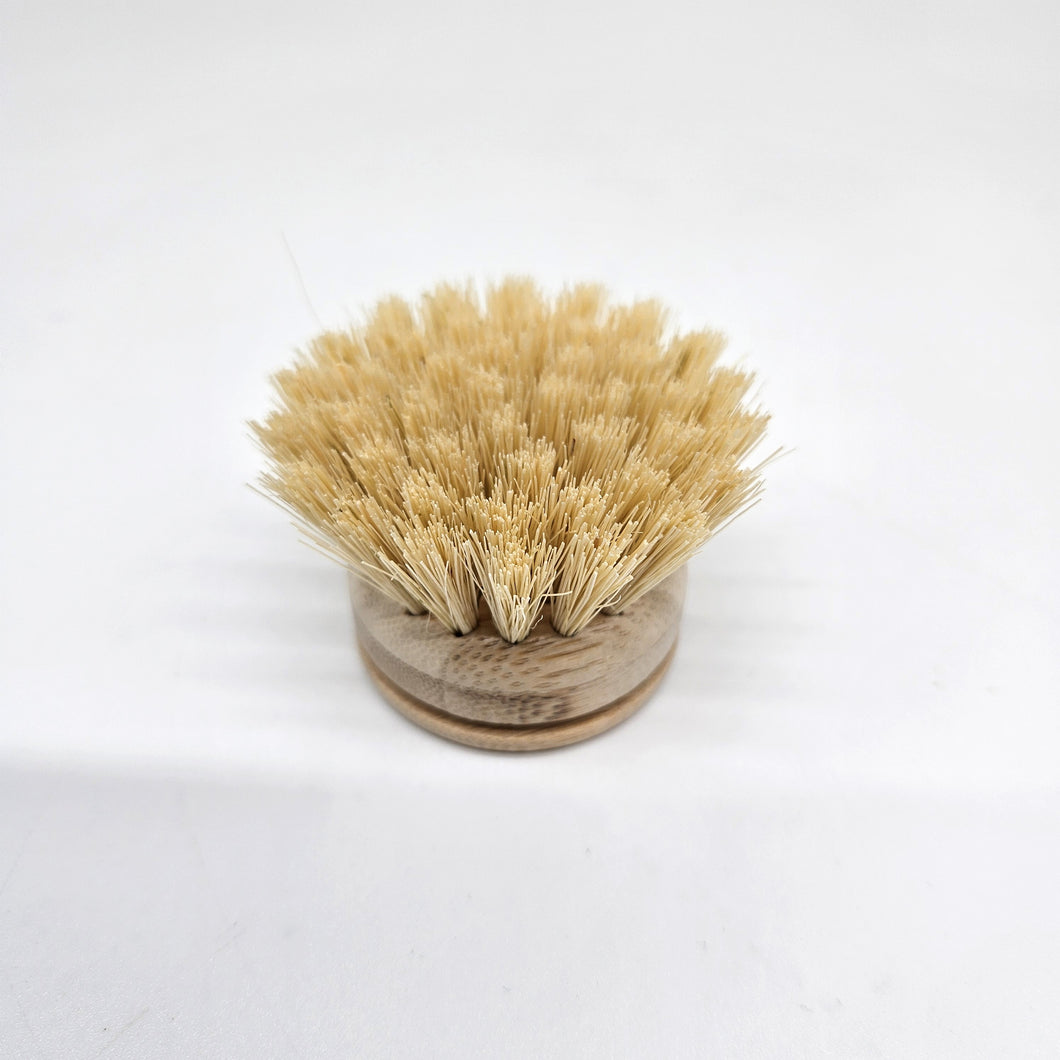 Bamboo & Sisal Bristle Dish Brush Head - Replacement