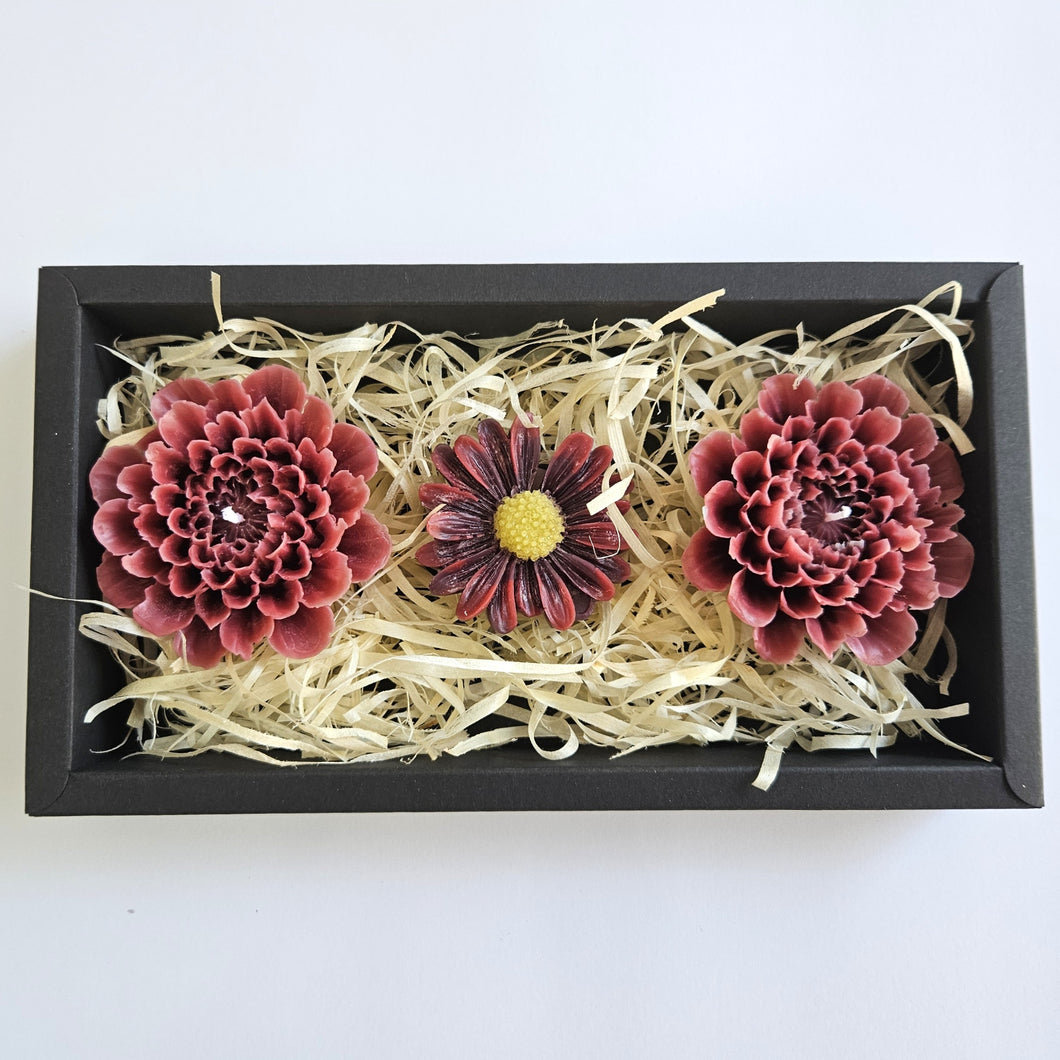 Flower Candle Gift Box Black - Maroon