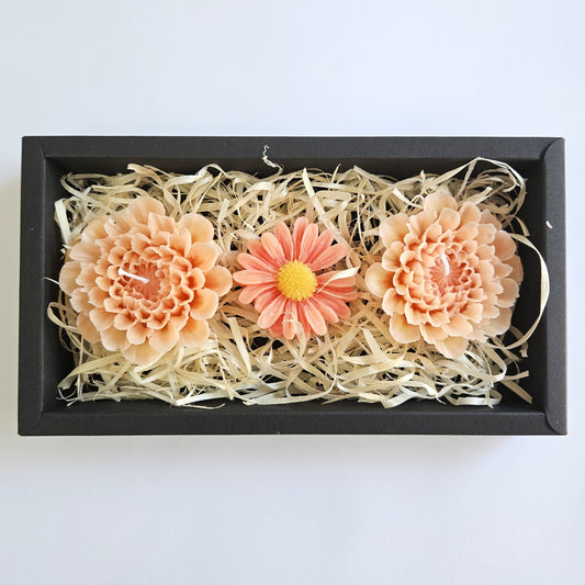 Flower Candle Gift Box Black - Peach