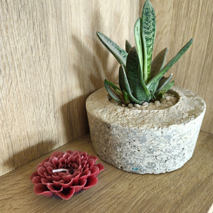 Flower Candle Gift Box Natural - Yellow & Aqua