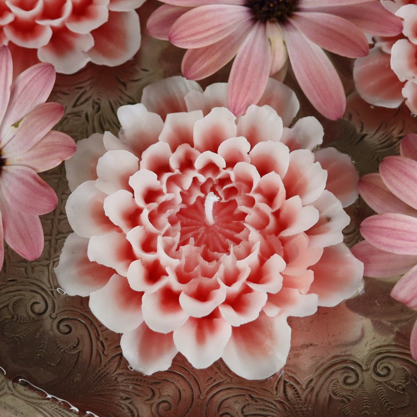 Flower Candle Gift Box Black - Maroon