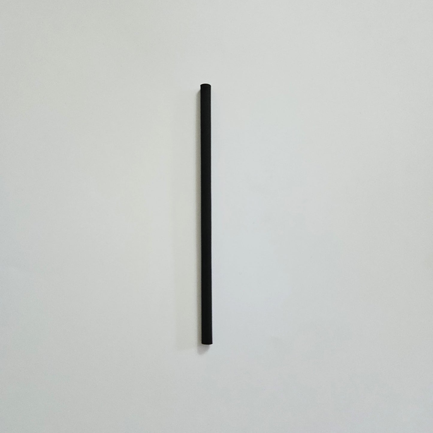 Eco Straws – 100% Biodegradable & Sustainable Alternative