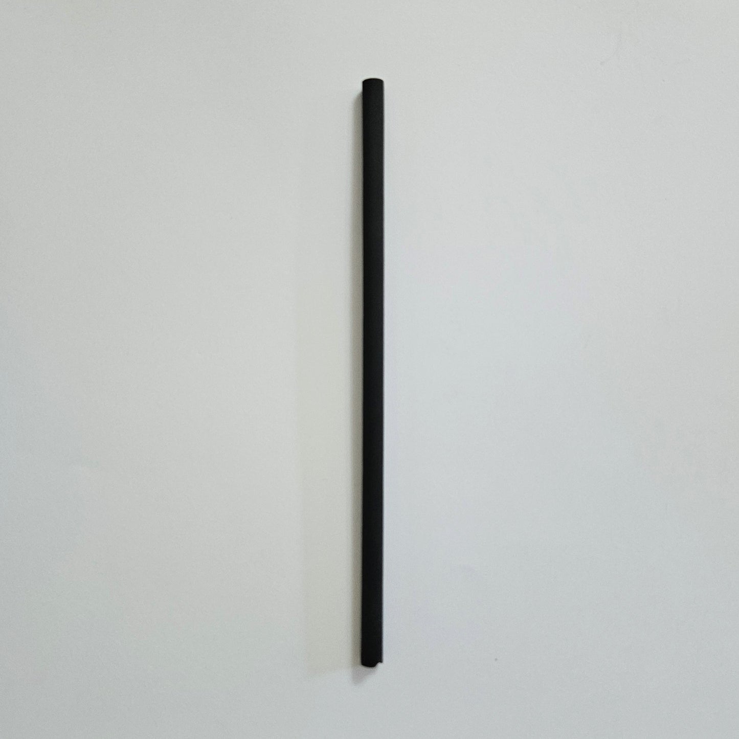 Eco Straws – 100% Biodegradable & Sustainable Alternative