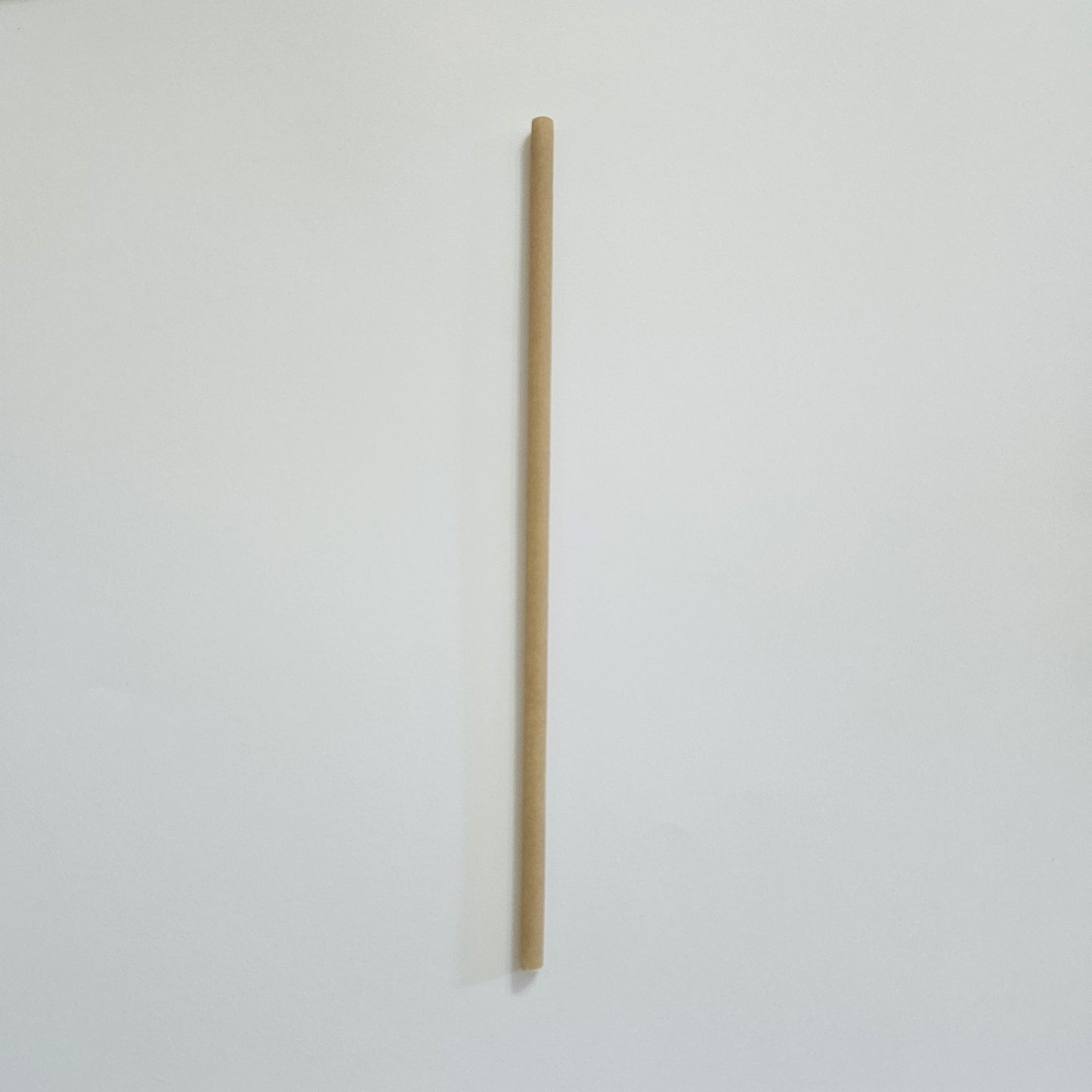 Eco Straws – 100% Biodegradable & Sustainable Alternative