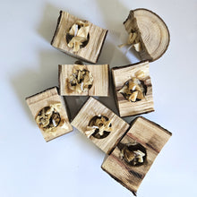 Load image into Gallery viewer, Evolve Log &amp; Load Natural Fire Starters - 10 Pack
