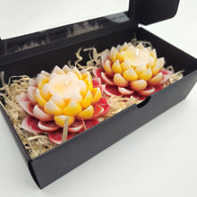 Load image into Gallery viewer, Lotus Large Candle - 2 Pack - Various Colours
