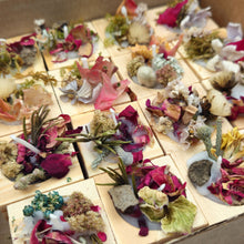 Load image into Gallery viewer, Natural Fire Starters (16 Pack)
