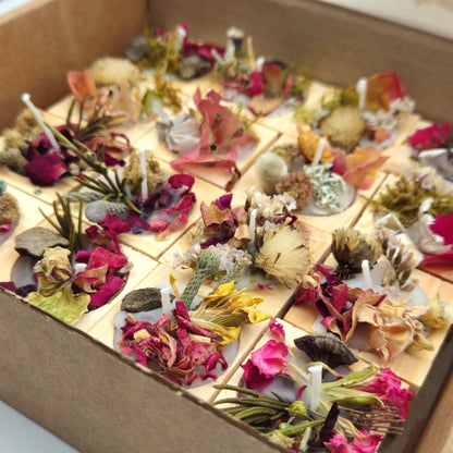 Natural Fire Starters (16 Pack)