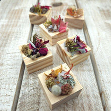 Load image into Gallery viewer, Natural Fire Starters (16 Pack)

