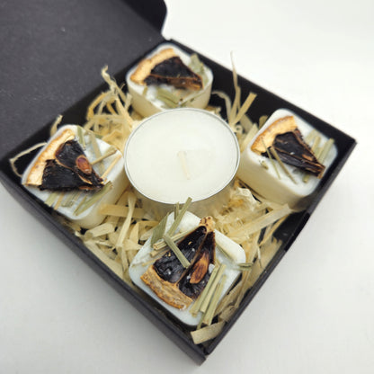 Evolve Floral Soy Wax Melts - Lemongrass