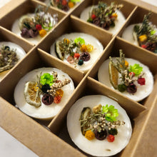Load image into Gallery viewer, Evolve Floral Soy Wax Melts - 3 Fragrances
