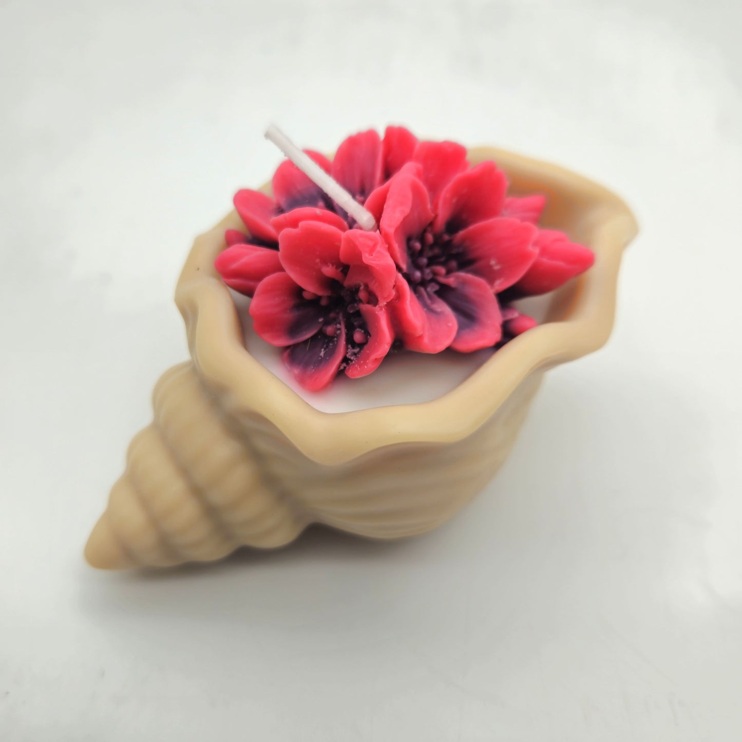Evolve Soy Wax Blossom & Shell Candle - Pink & Red - Vanilla