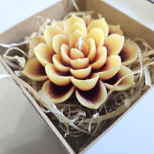 Load image into Gallery viewer, Lotus Medium Candle - Fragranced - Various Colours
