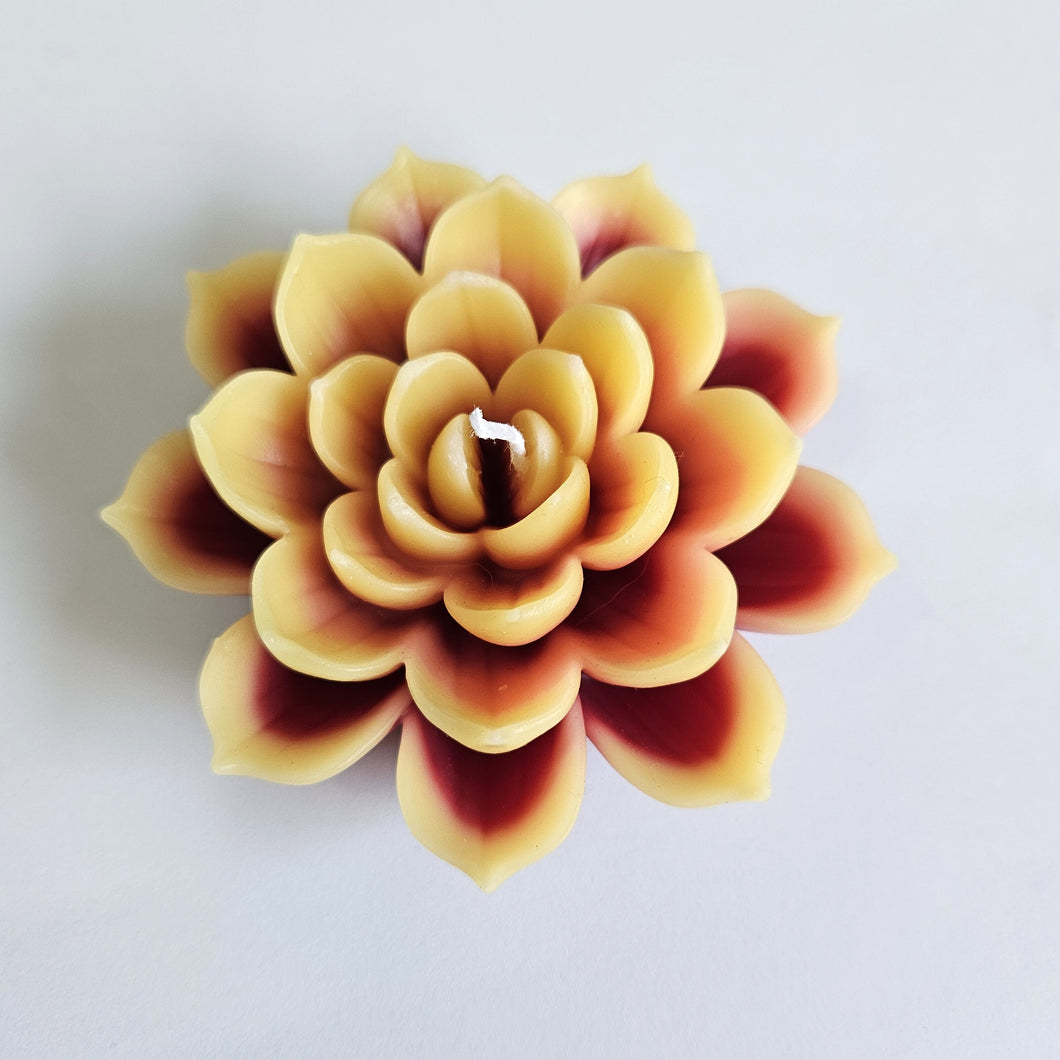 Lotus Medium Candle - Fragranced - Various Colours