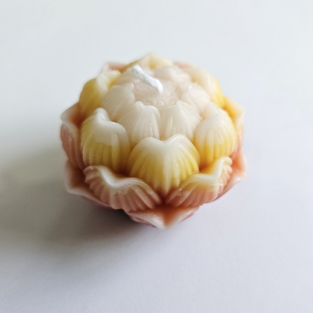Lotus Modern Candle - Fragranced - Various Colours