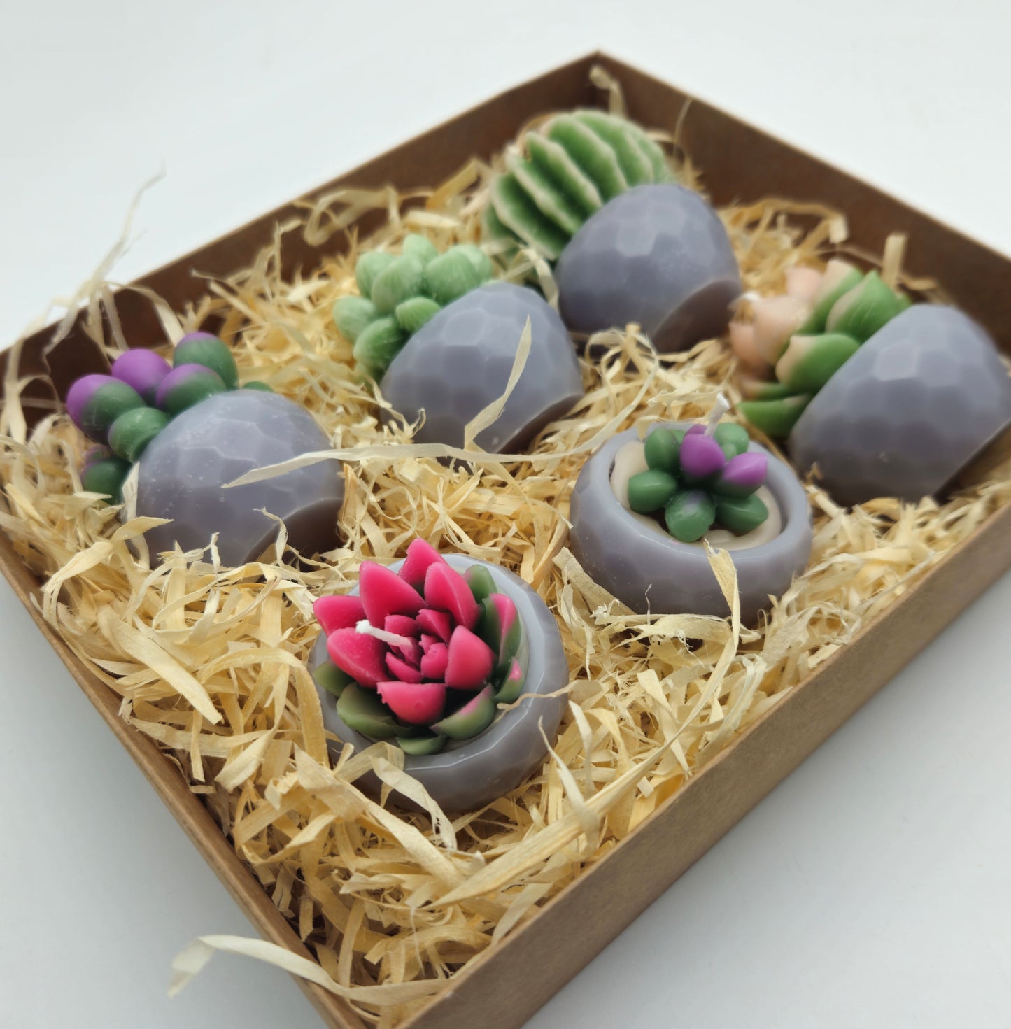Evolve 6 Mini Succulent Candles - Grey Pots - Lemon Grass