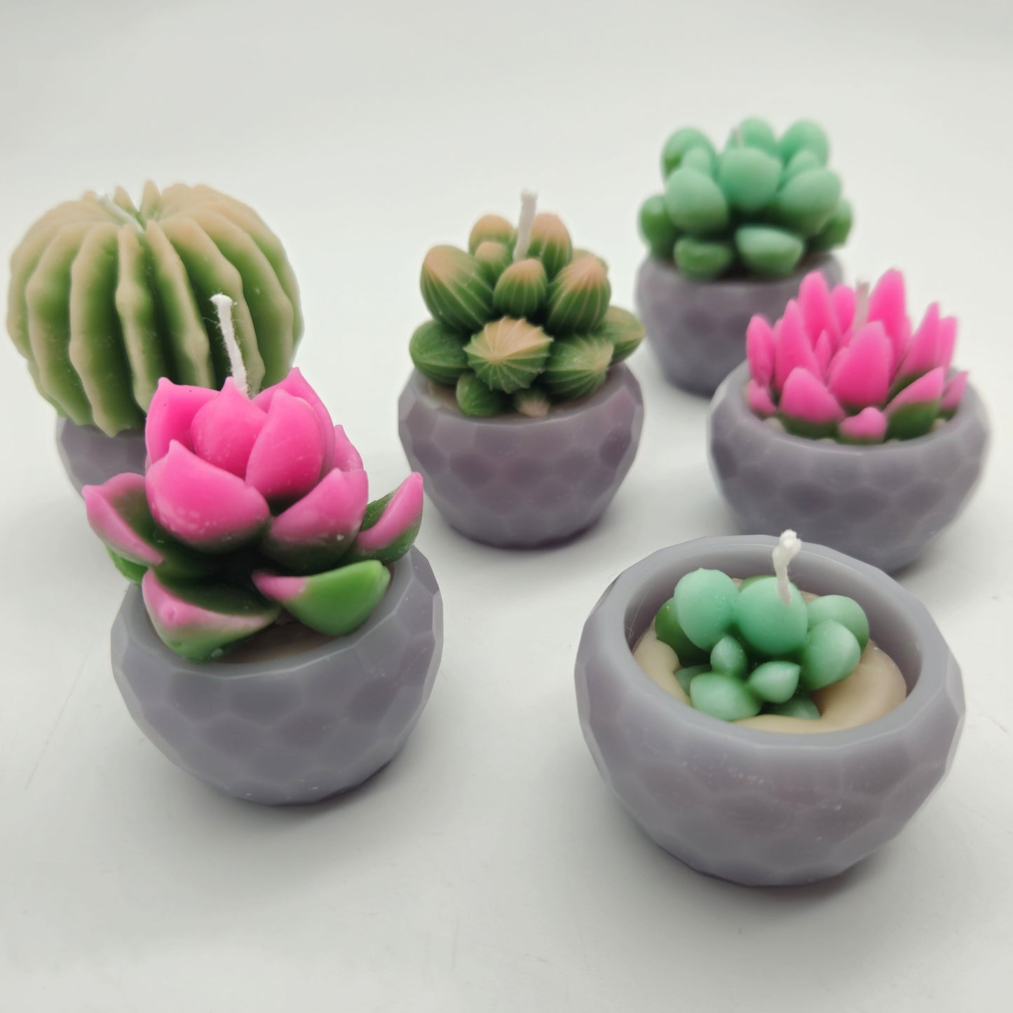 Evolve 6 Mini Succulent Candles - Grey Pots - Vanilla