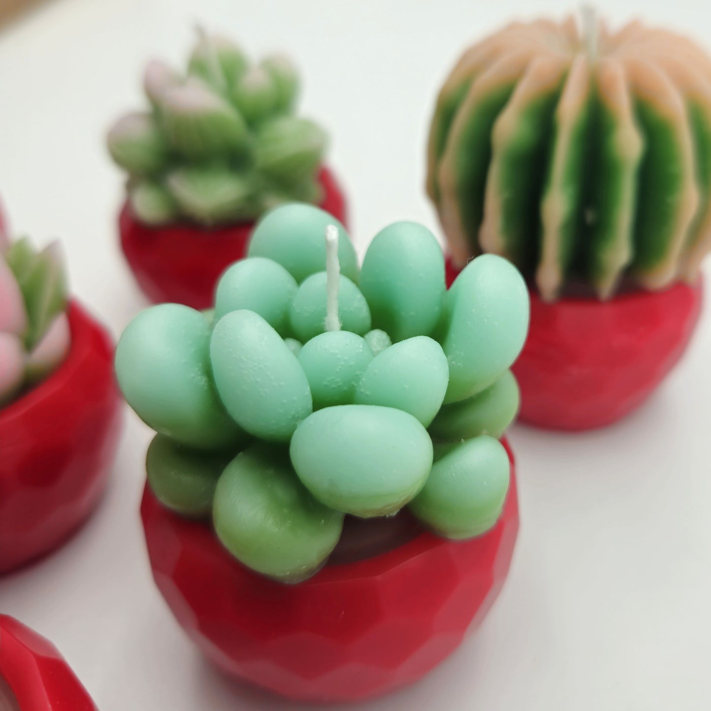 Evolve 6 Mini Succulent Candles - Red Pots - Vanilla