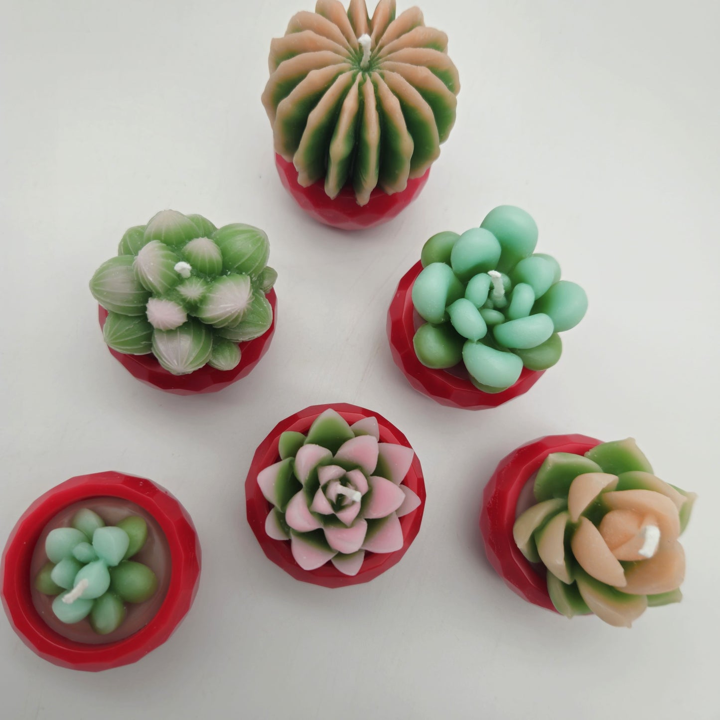 Evolve 6 Mini Succulent Candles - Red Pots - Vanilla