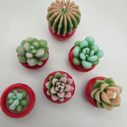 Evolve 6 Mini Succulent Candles - Red Pots - Vanilla