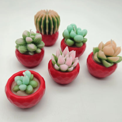Evolve 6 Mini Succulent Candles - Red Pots - Vanilla