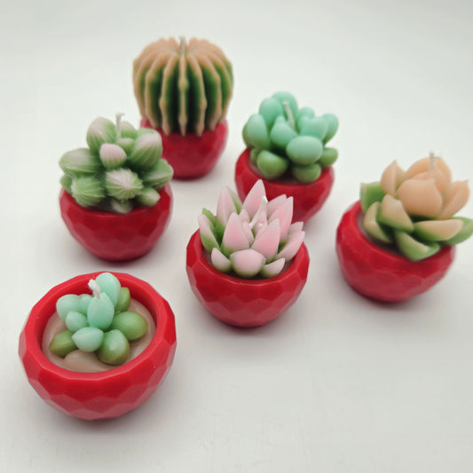 Evolve 6 Mini Succulent Candles - Red Pots - Vanilla