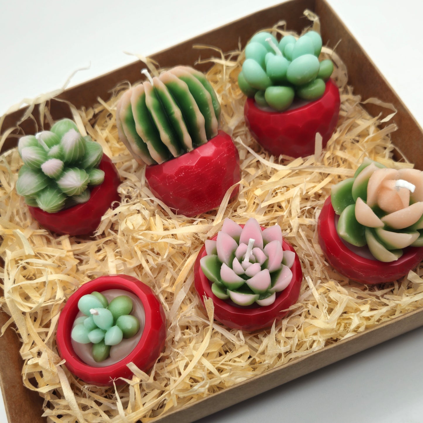 Evolve 6 Mini Succulent Candles - Red Pots - Vanilla