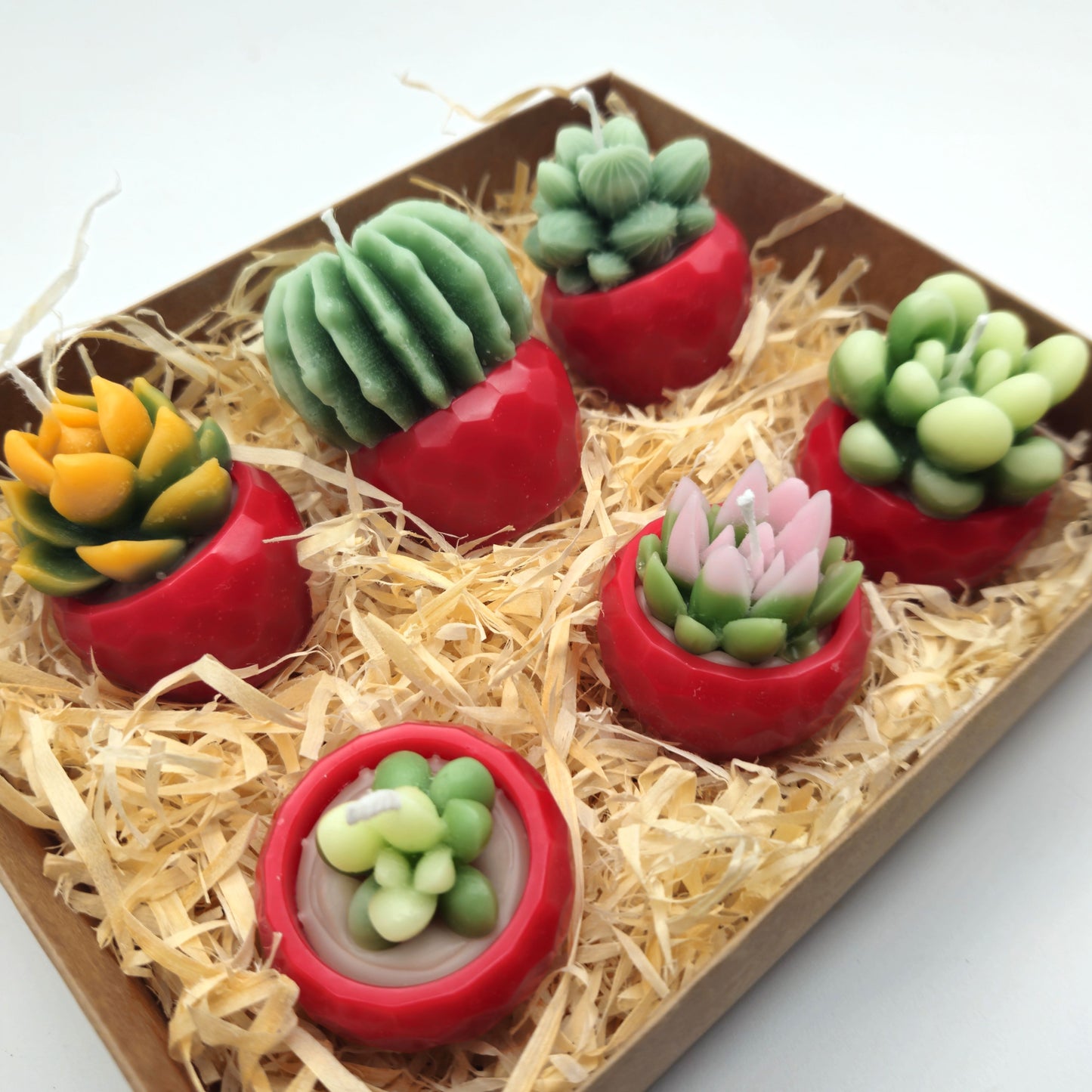 Evolve 6 Mini Succulent Candles - Red Pots - Lemon Grass