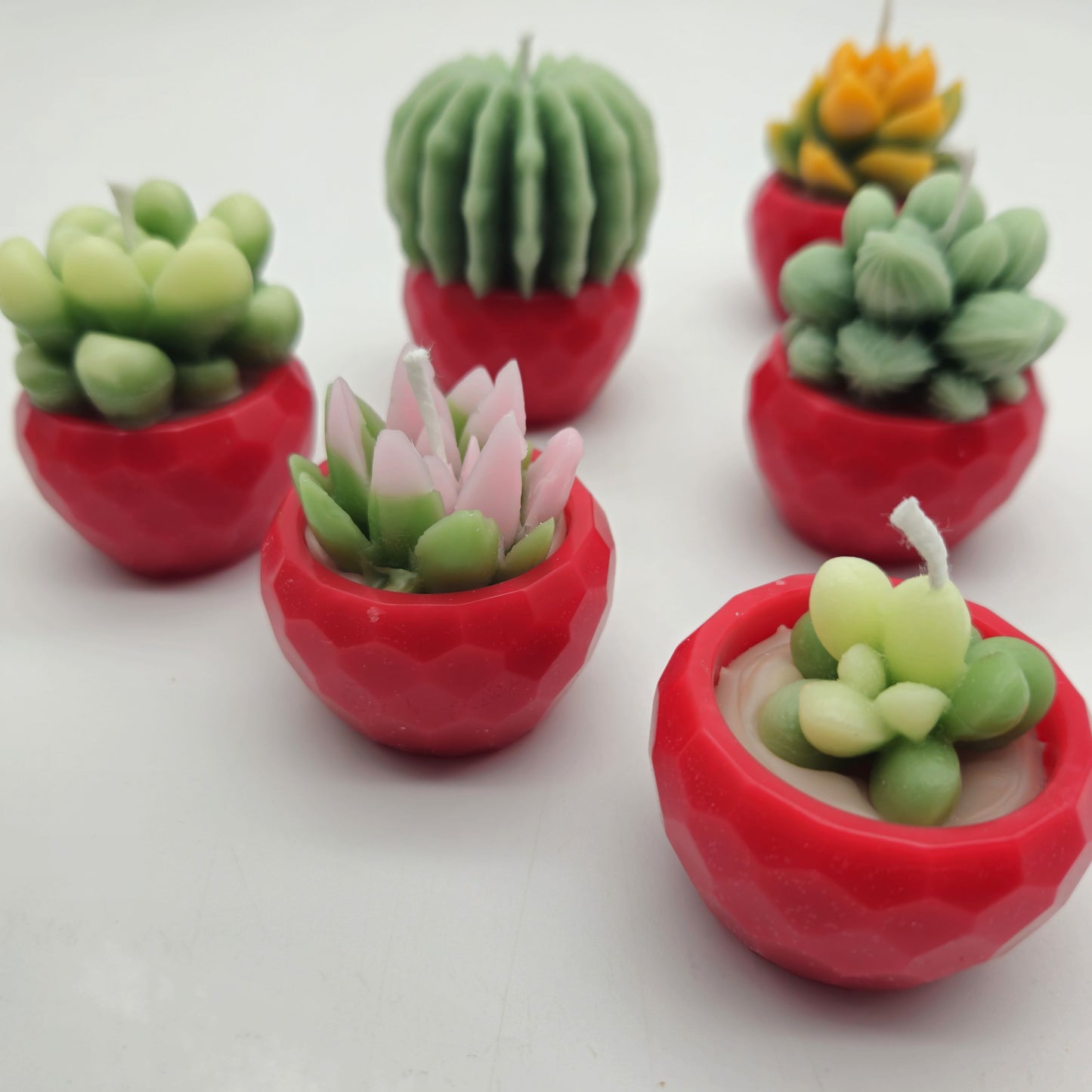 Evolve 6 Mini Succulent Candles - Red Pots - Lemon Grass