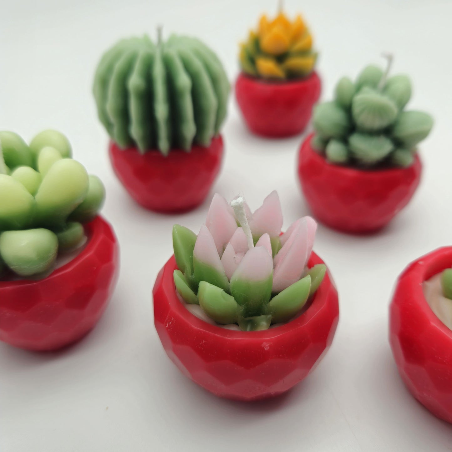 Evolve 6 Mini Succulent Candles - Red Pots - Lemon Grass