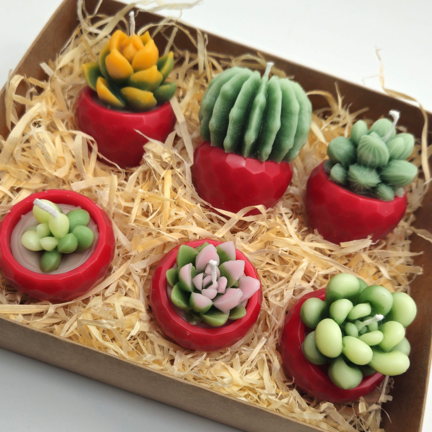 Evolve 6 Mini Succulent Candles - Red Pots - Lemon Grass