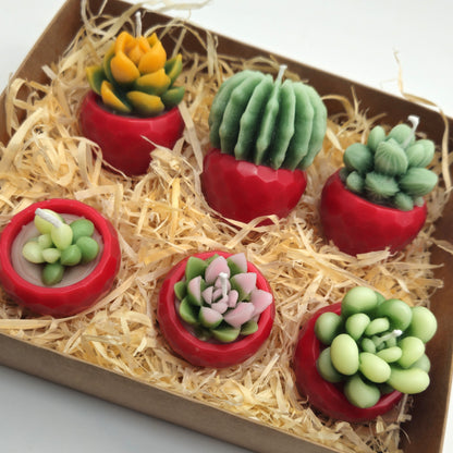 Evolve 6 Mini Succulent Candles - Red Pots - Lemon Grass