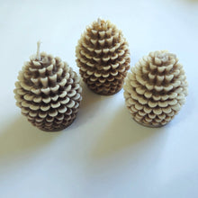 Load image into Gallery viewer, Evolve Soy Wax Pine Cone Candle - Apple &amp; Cinnamon - Set of 3
